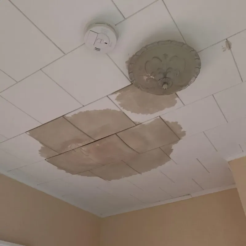 Ceiling Water Damage Repair in Morton, MS