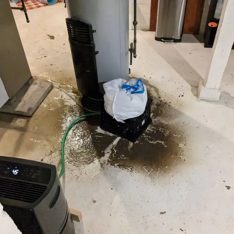Sewage Backup Cleanup Service in Morton, MS